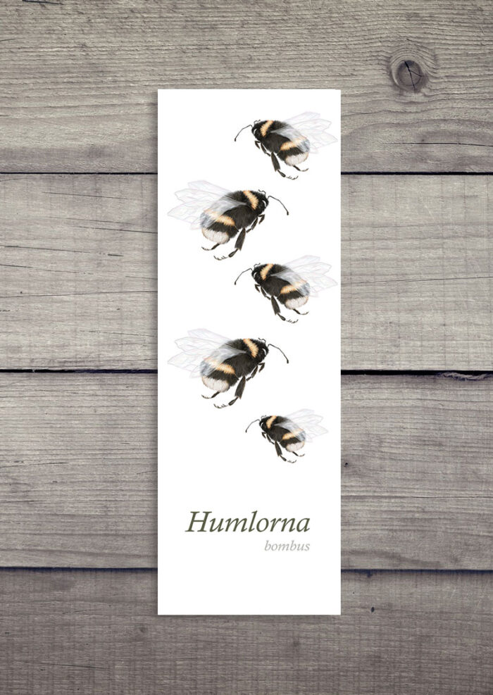 Humlorna 15x5 cm